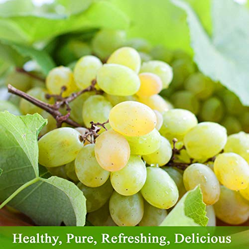 Red Grape Juice, Organic, No Sugar Added, 25.4 oz Glass Bottle (Pack of 2) A25609
