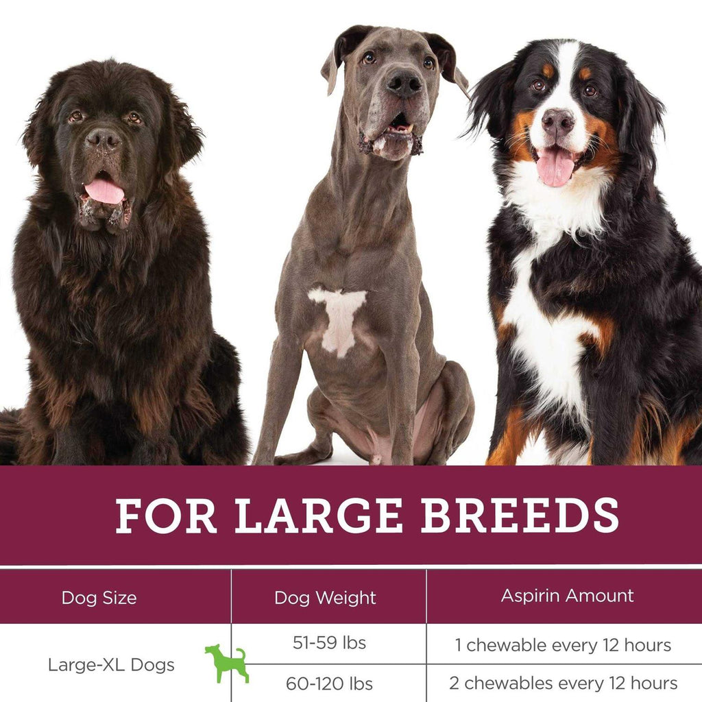 Canine Aspirin for Dogs R44401