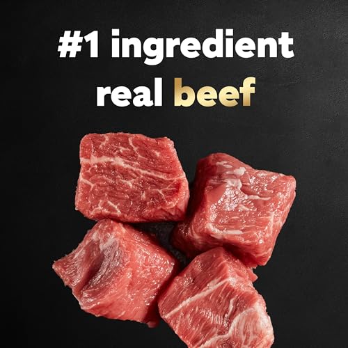 Wet Dog Food Loaf in Sauce Beef Recipe, 3.5 oz. Easy Peel Trays, Pack of 24 X379