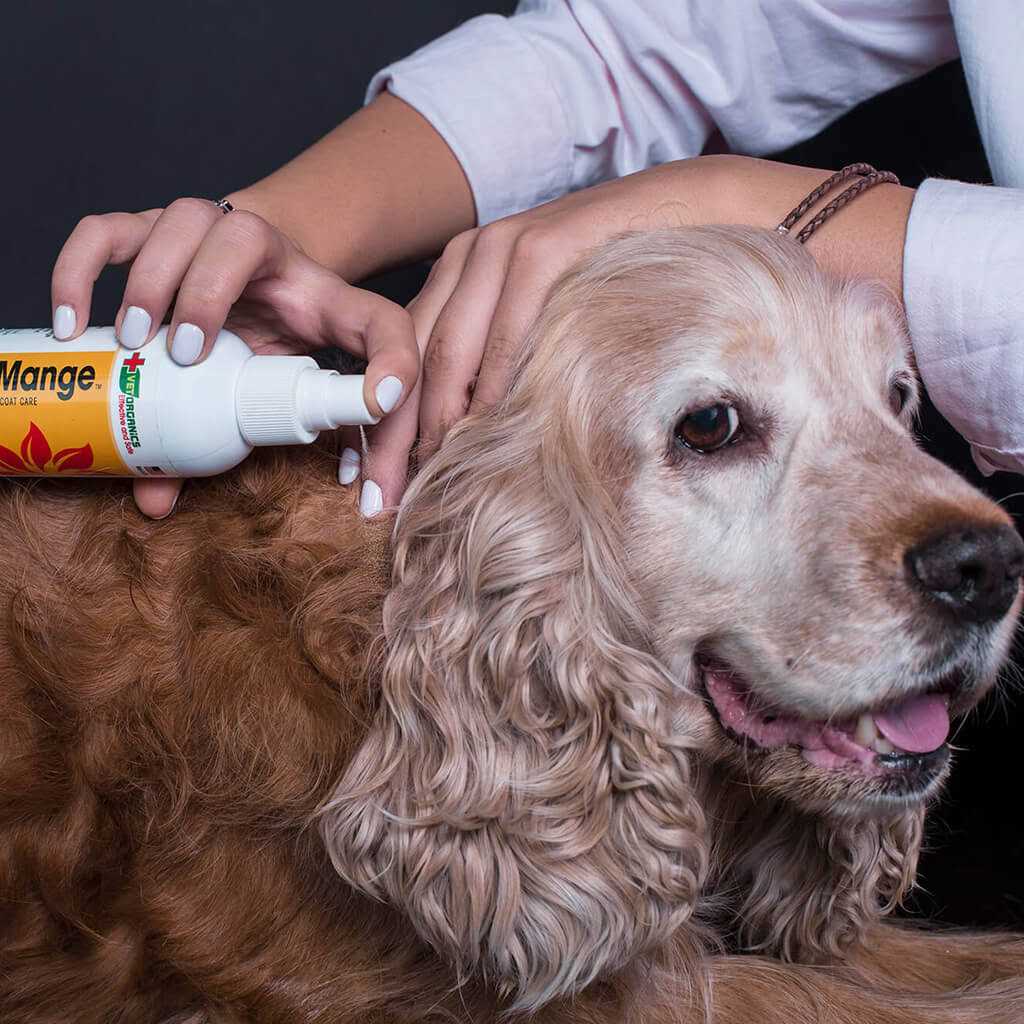 Dog & Cat Mange Skin Treatment V2881