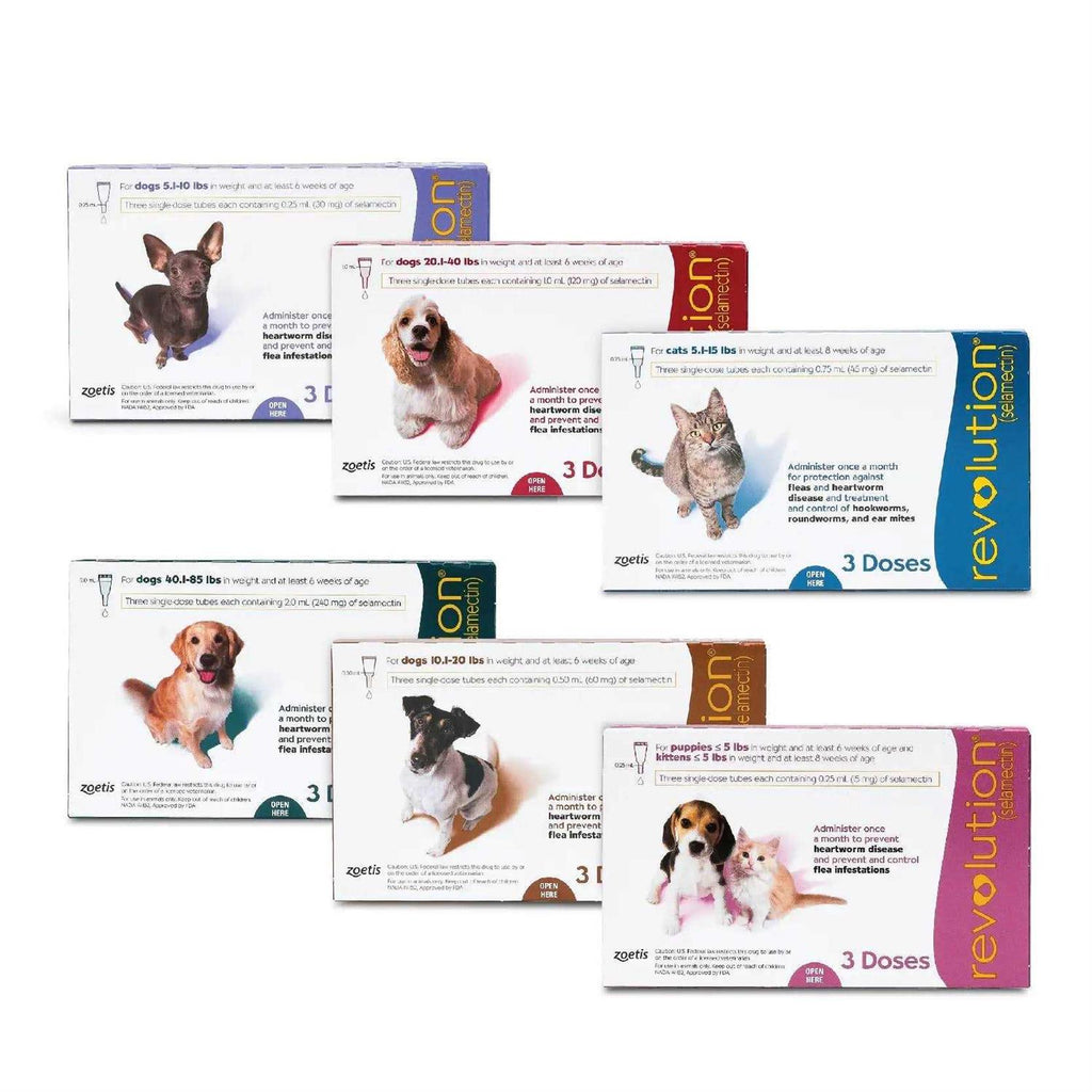 Dogs 5.1-10 lbs Pet Supplies E6438