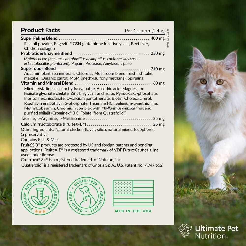 Multivitamin Powder Supplement for Dogs E60011