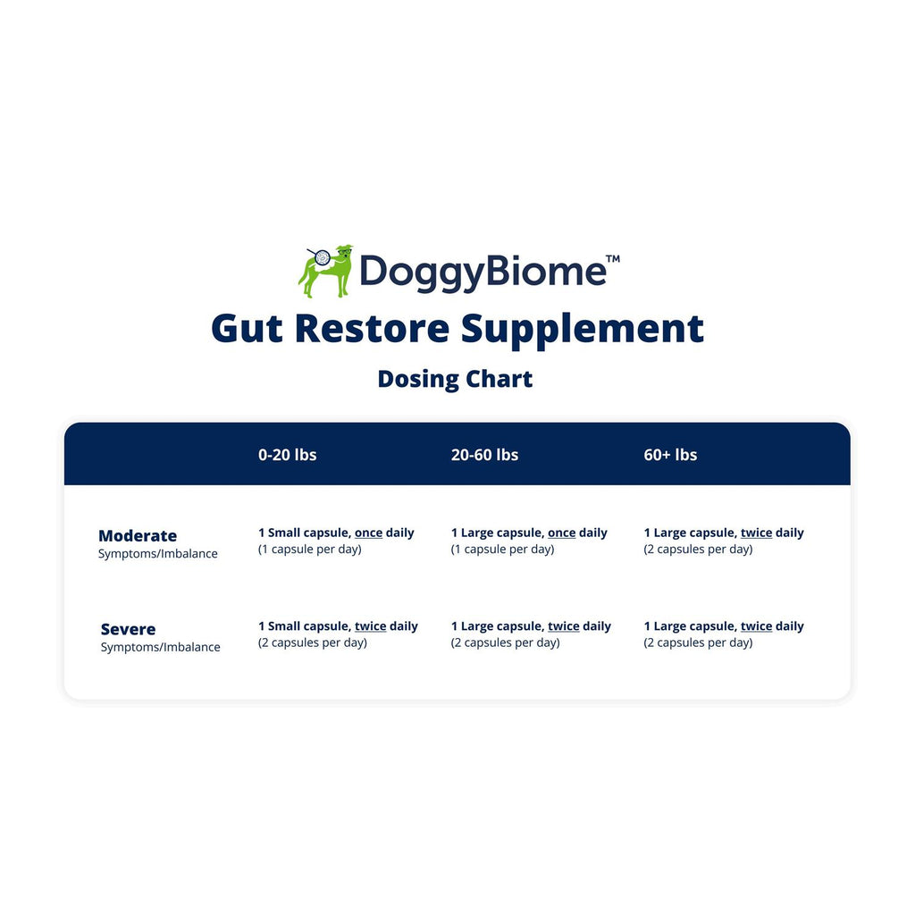 Gut Restore Supplement for Dogs, 30 Capsules Z33824