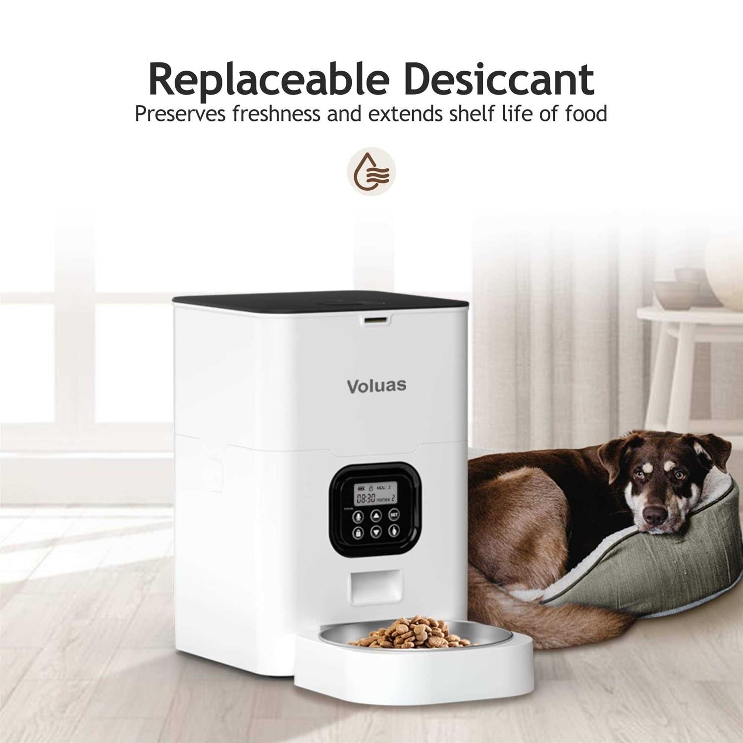 Automatic Pet Feeders for Cats and Dogs D3015
