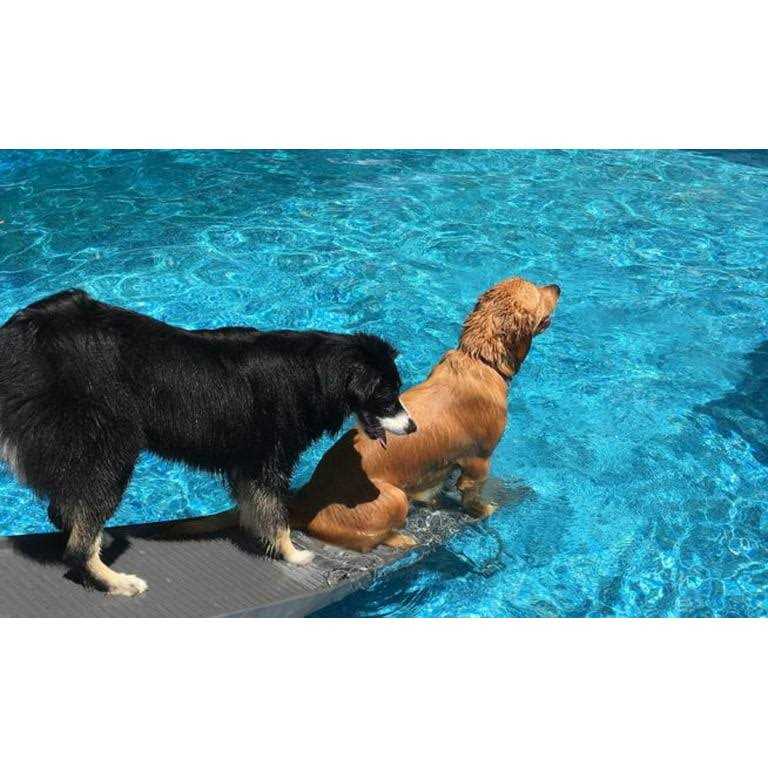 Pet Pool Bundle G974030