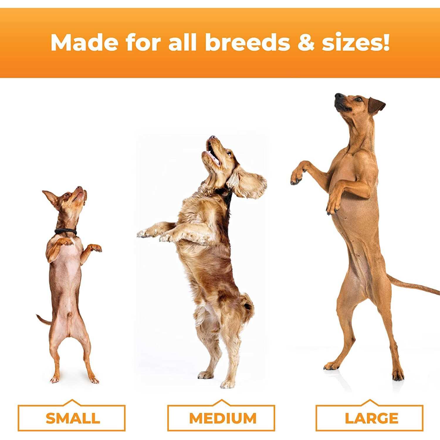 Joint Care Chews for Dogs B133004