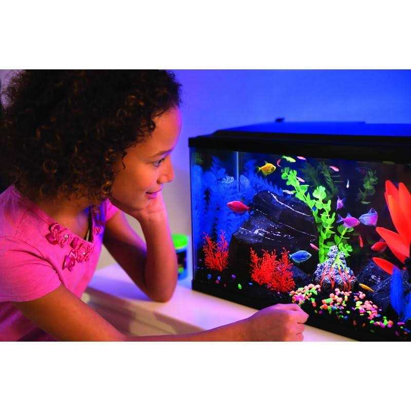 20 Gallon Aquarium Kit with LED Lights, Heater and Filter W326966