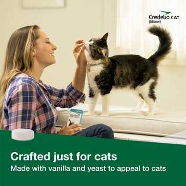 Cat flea and tick treatment for cats Y389