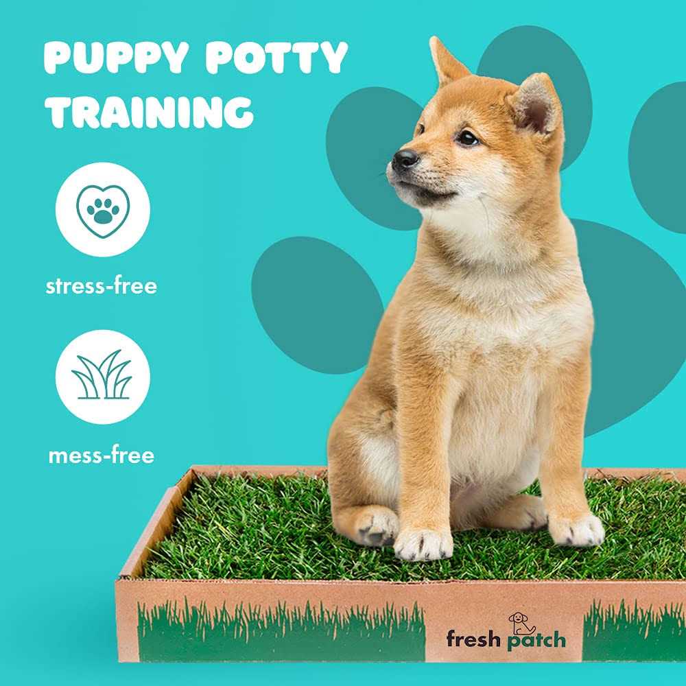 Large Real Grass Potty Training Pad for Dogs 15-30 lbs Y234042
