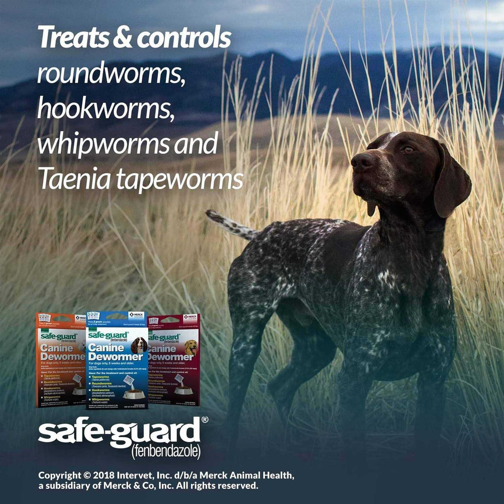 Canine Dewormer for Dogs W76336