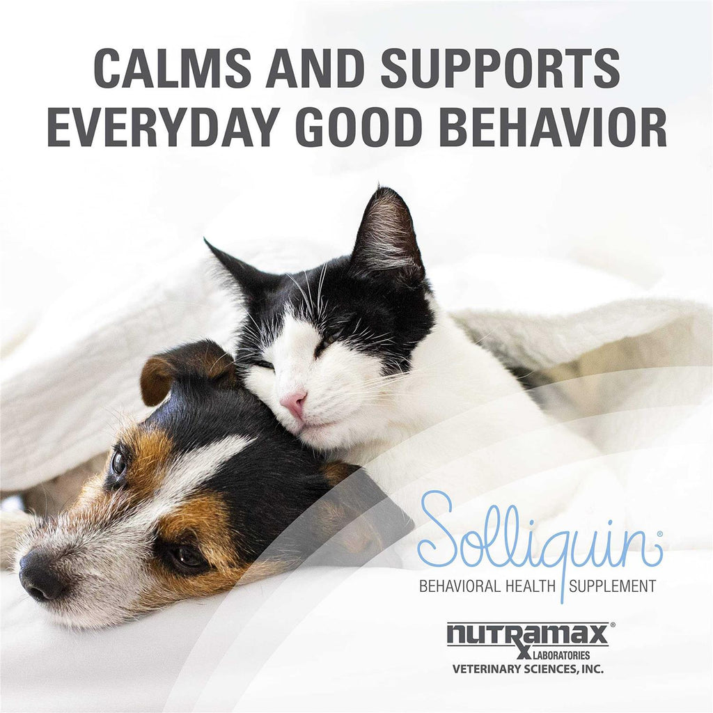 Calming Behavioral Health Supplement for Small to Medium Dogs and Cats J144531