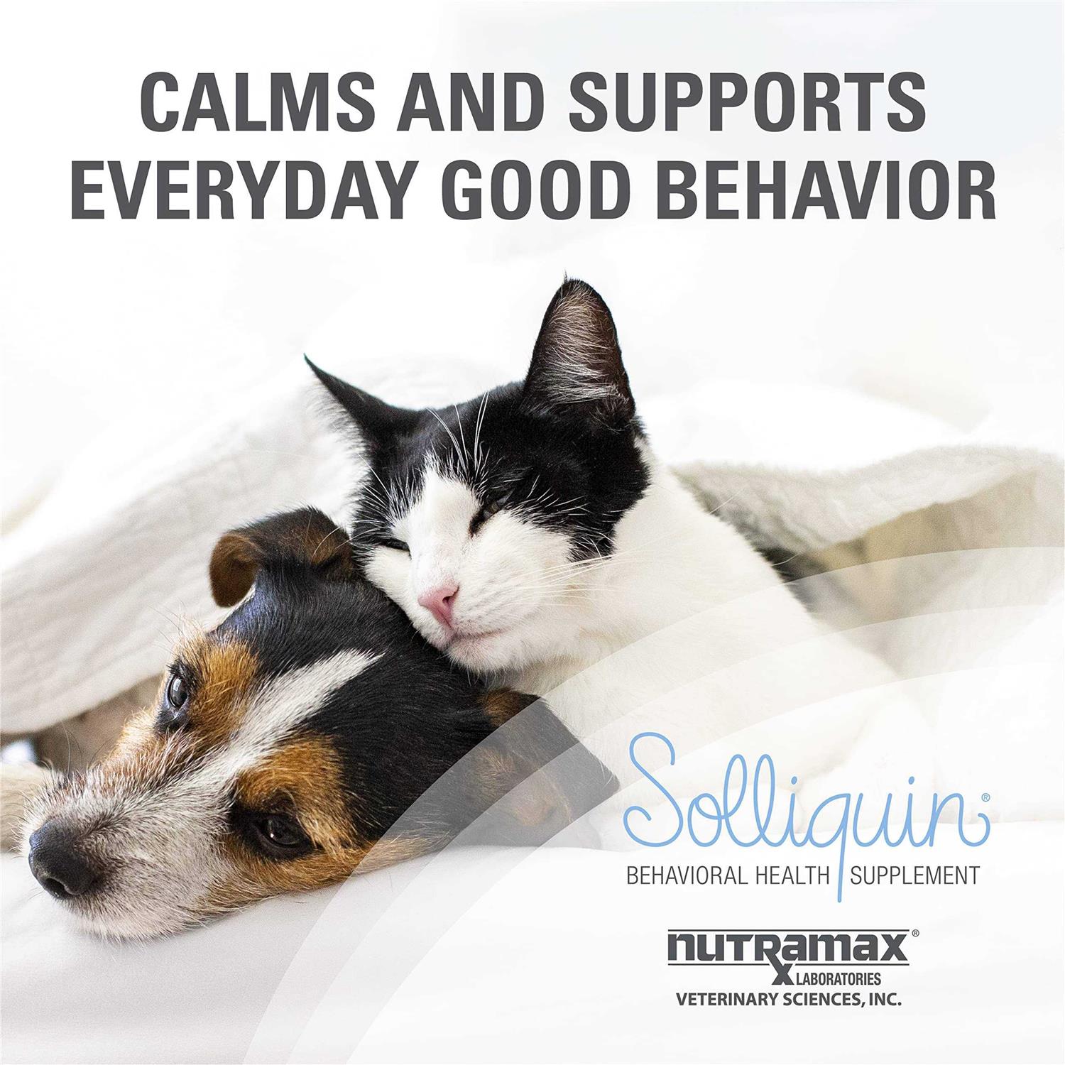 Calming Behavioral Health Supplement for Small to Medium Dogs and Cats J144531