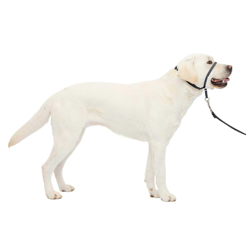 Gentle Leader Headcollar for Dogs L5345