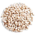 Enthusiastentusiasta 50 lbs Safflower for Wild Bird Feed - Pet Supplies online store
