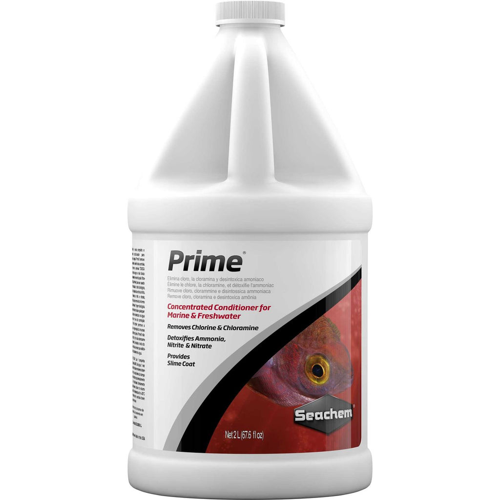 Pet Supplies online store B1541