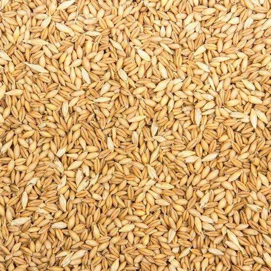 Organic Whole Barley Animal Feed for Pets I2724