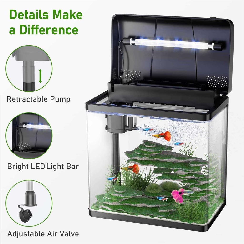 5 Gallon Glass Aquarium with LED Light and Filter N255043