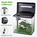 5 Gallon Glass Aquarium with LED Light and Filter N255043