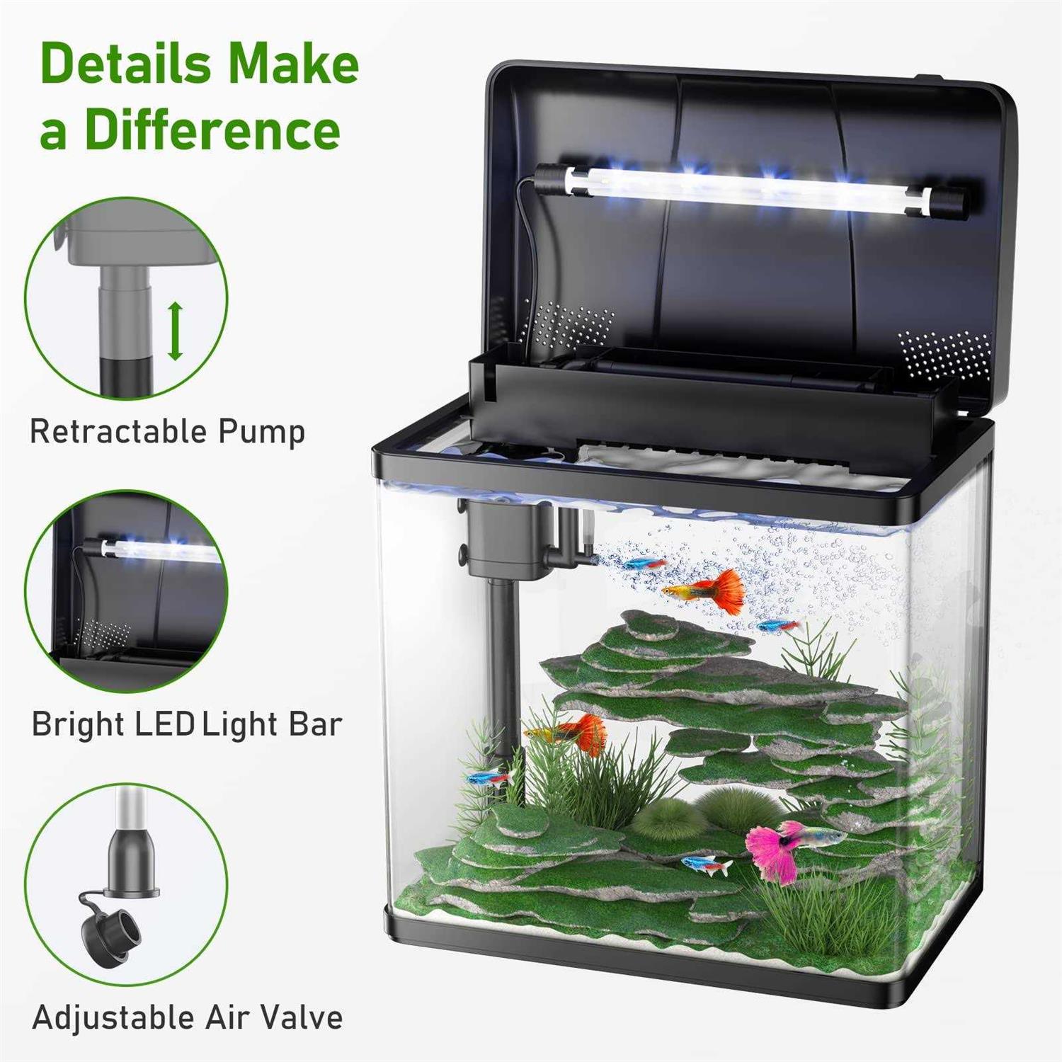 5 Gallon Glass Aquarium with LED Light and Filter N255043