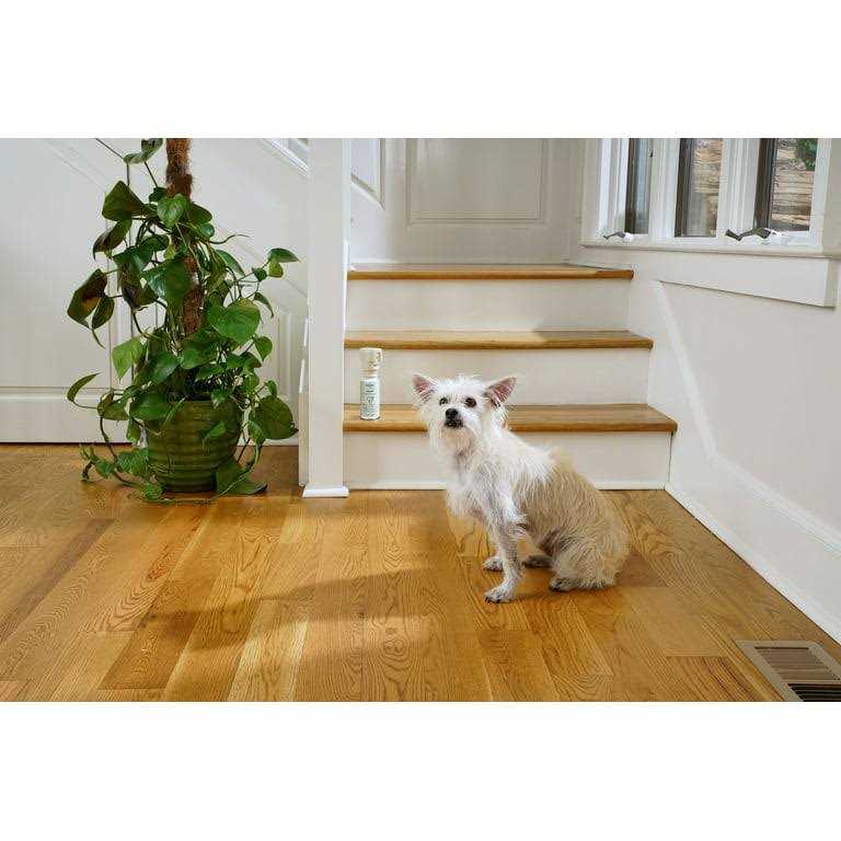 Pet Deterrent Spray L75141
