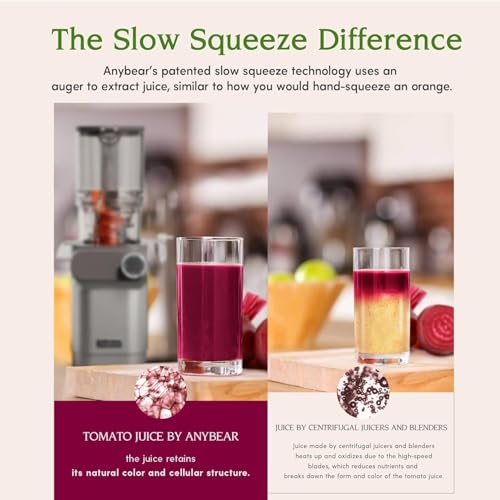 Cold Press Juicer, 200W Slow Masticating Juicer with Large Feed Chute N591