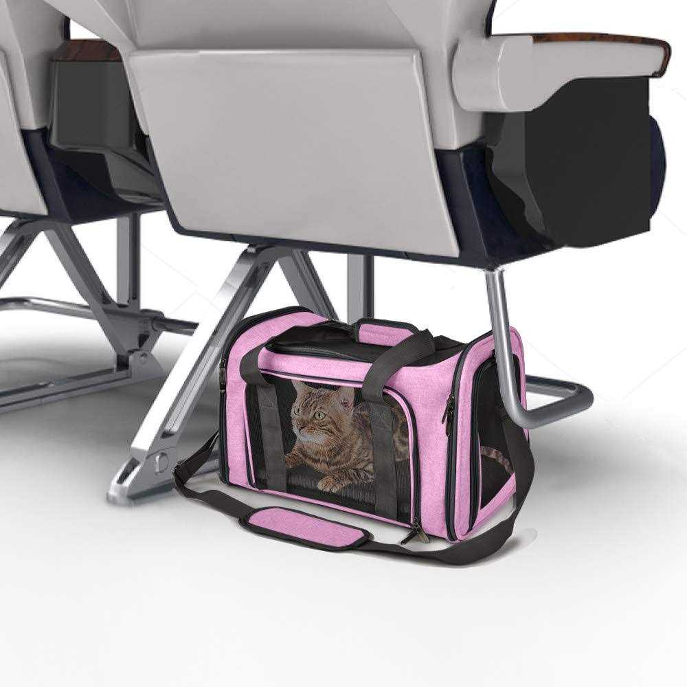Cat Carrier for Small Medium Cats Puppies up to 15 Lbs Y836427