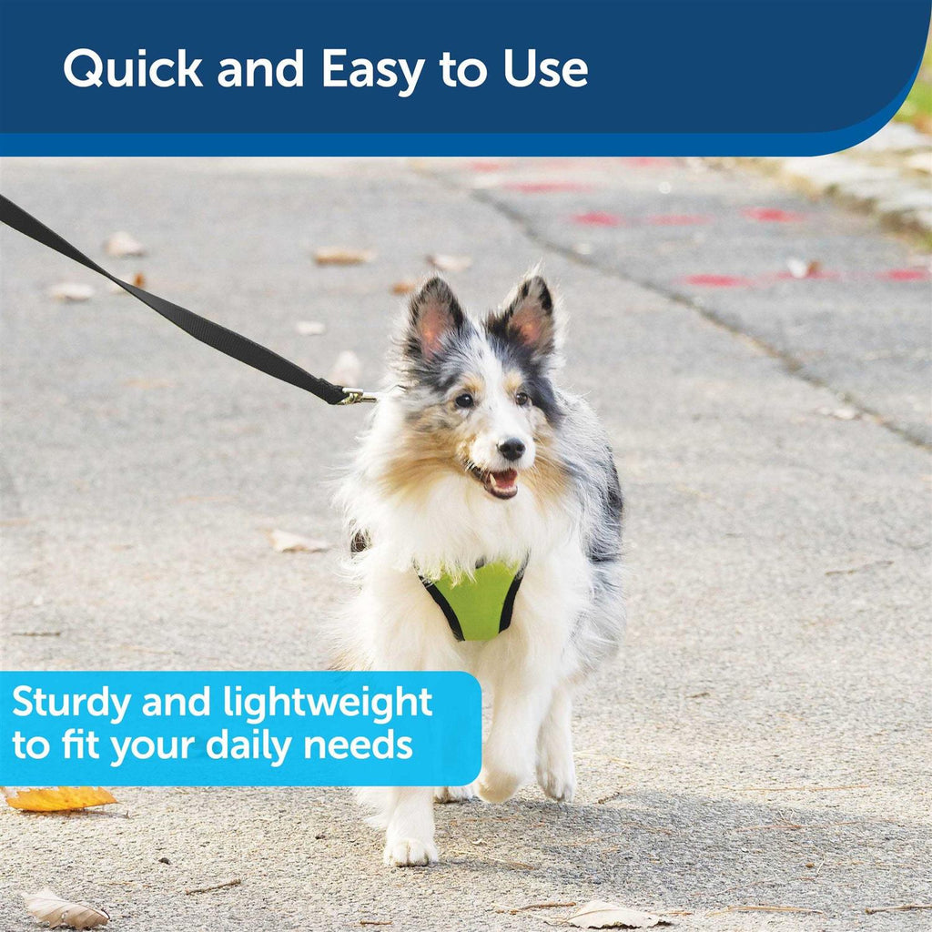 Nylon Dog Leash N6031