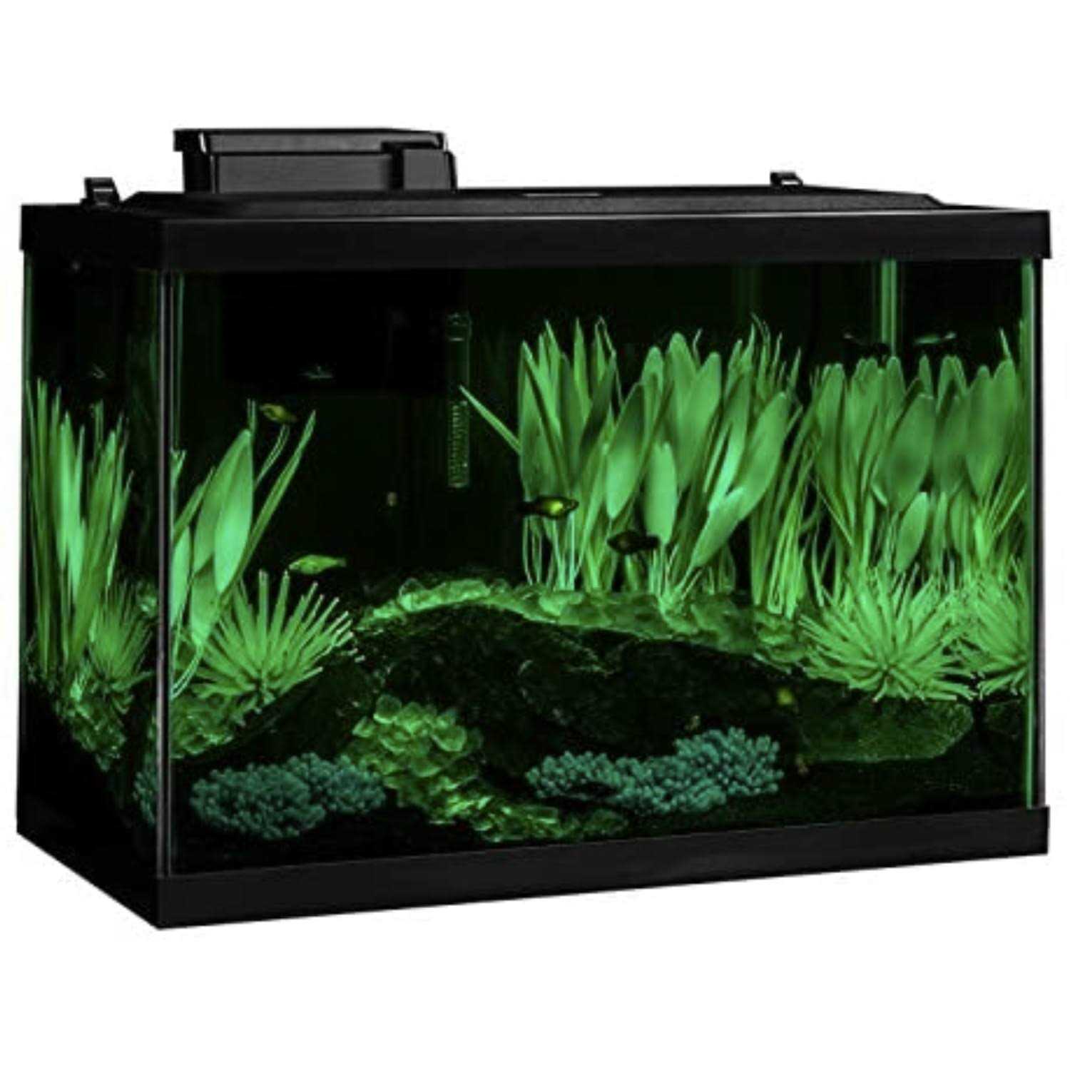 Aquarium 20 Gallon Fish Tank Kit with LED R98251