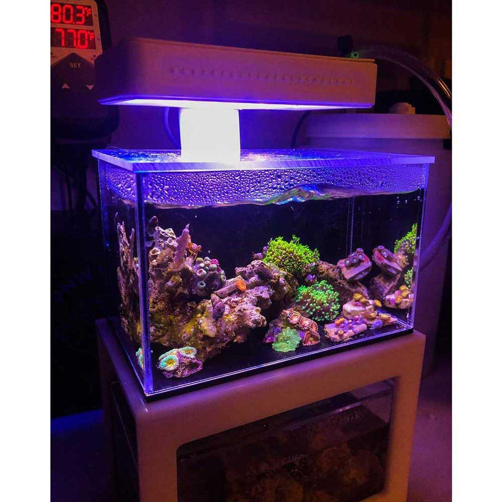 Desktop Micro Reef-Ready Aquarium 40oz N22354