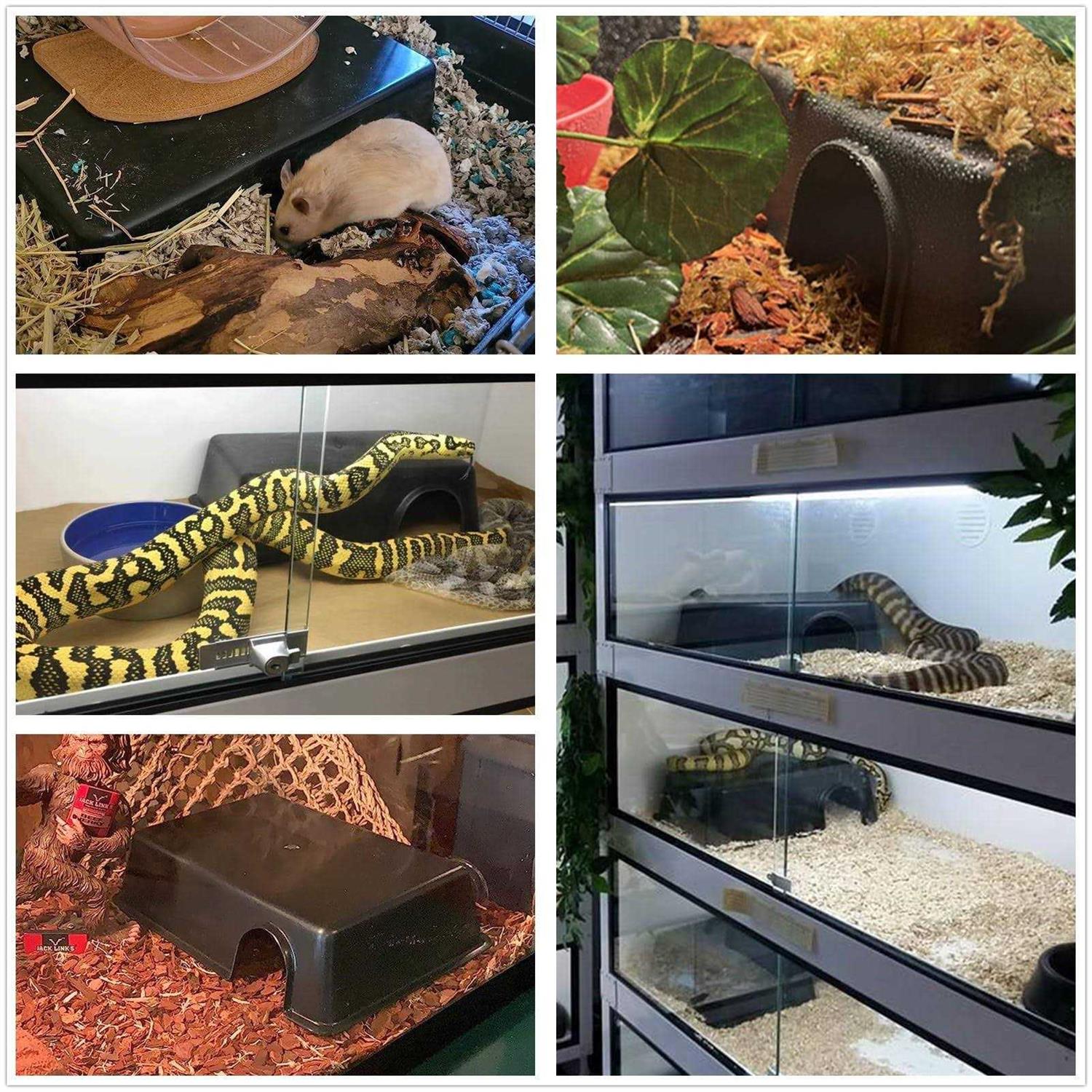 Large Reptile Hide for Snake Lizard Leopard Gecko and Ball Python B945462