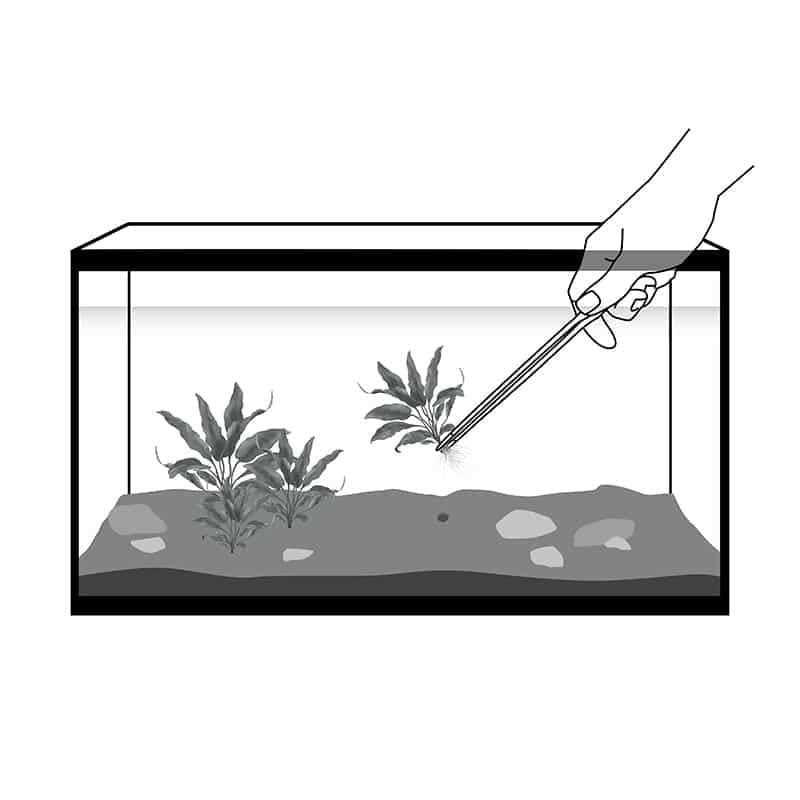 Aquarium Forceps Z22055