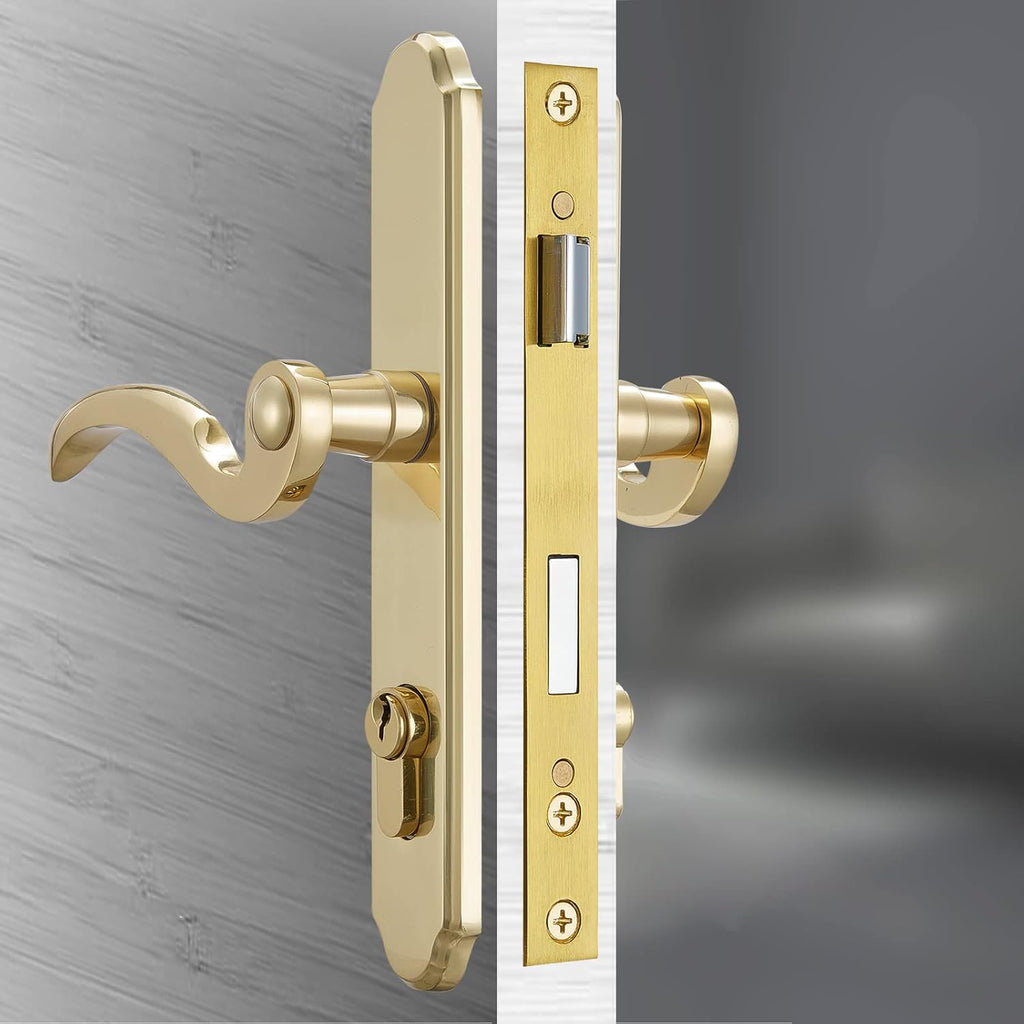 Solid Brass Lever Handle Mortise Lock Set for Screen/Storm Door Replacement, Left-Hinged Outswing, 1 or 1.38 in. Thickness F288848