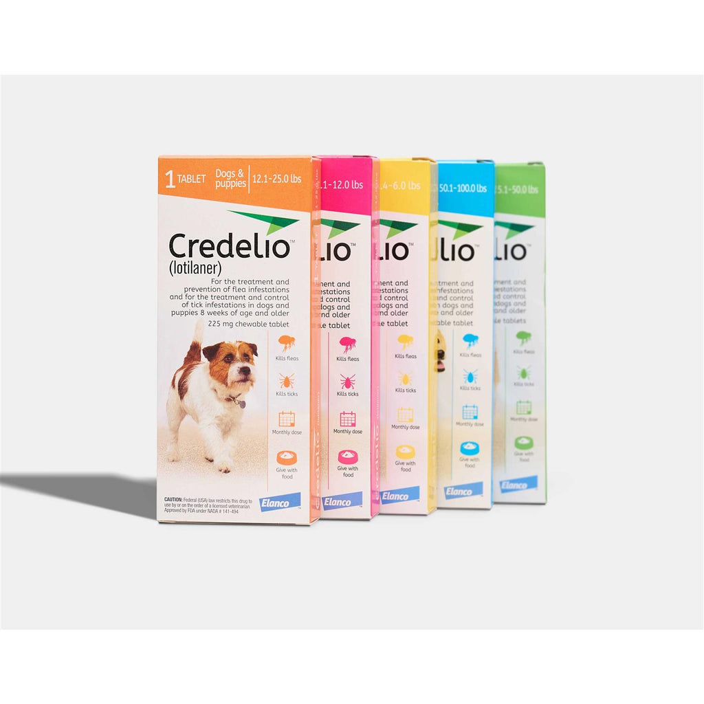 Chewable Tablet for Dogs R430973
