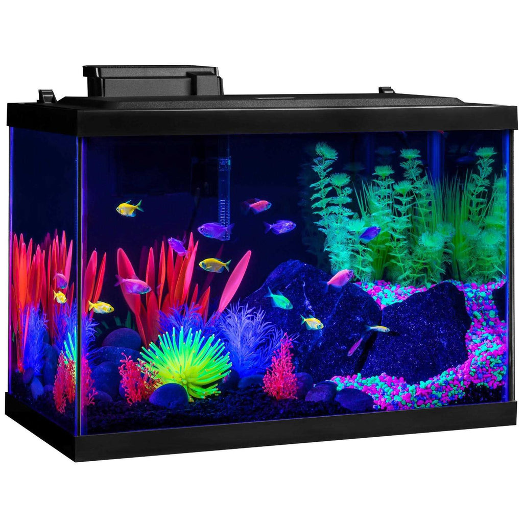 20 Gallon Aquarium Kit with LED Lights, Heater and Filter W326966
