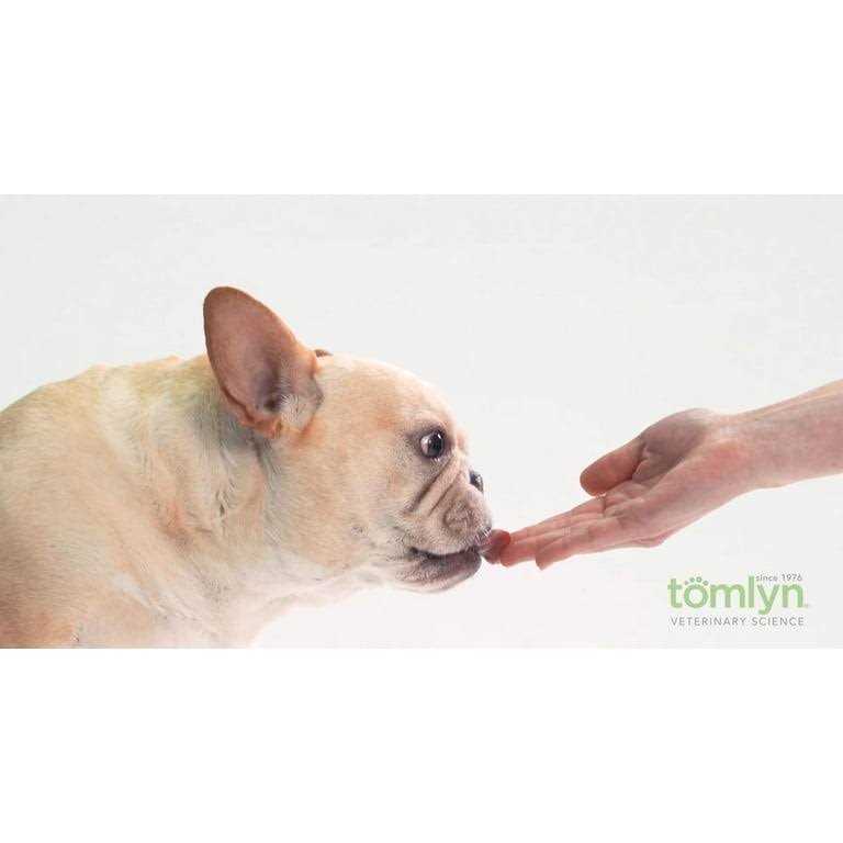 High Calorie Nutritional Gel for Dogs K555959