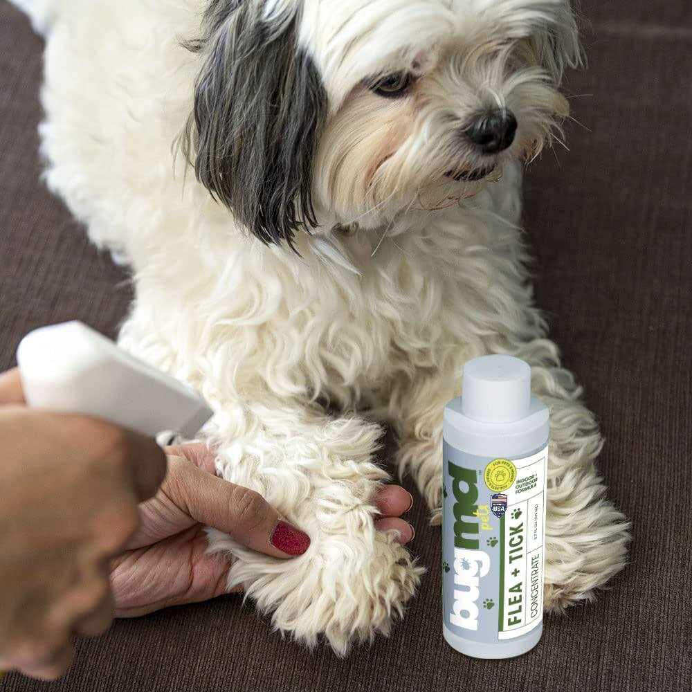 Flea and Tick Concentrate for Dogs, Cats, and Furred Animals S101