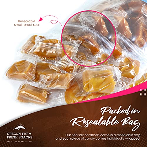 Salted Caramel Gourmet Candy with Sea Salt and Vanilla, Gluten Free, Soft Chewy, Individually Wrapped (16 oz) H68057