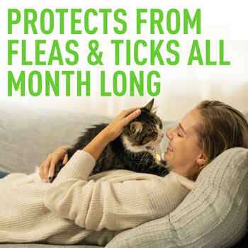 Cat flea and tick treatment for cats Y389