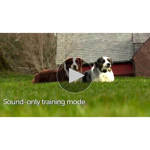 In-Ground Pet Fence System L2402