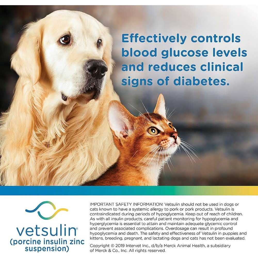 Pet insulin medication for dogs and cats P837