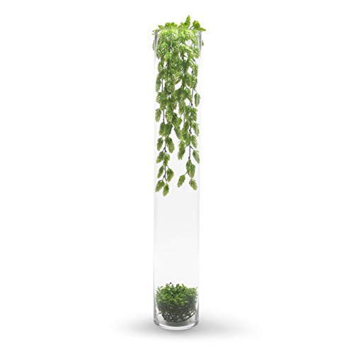 Tall Clear Cylinder Glass Vase for Flowers and Candles, 4" x 20" Z5471
