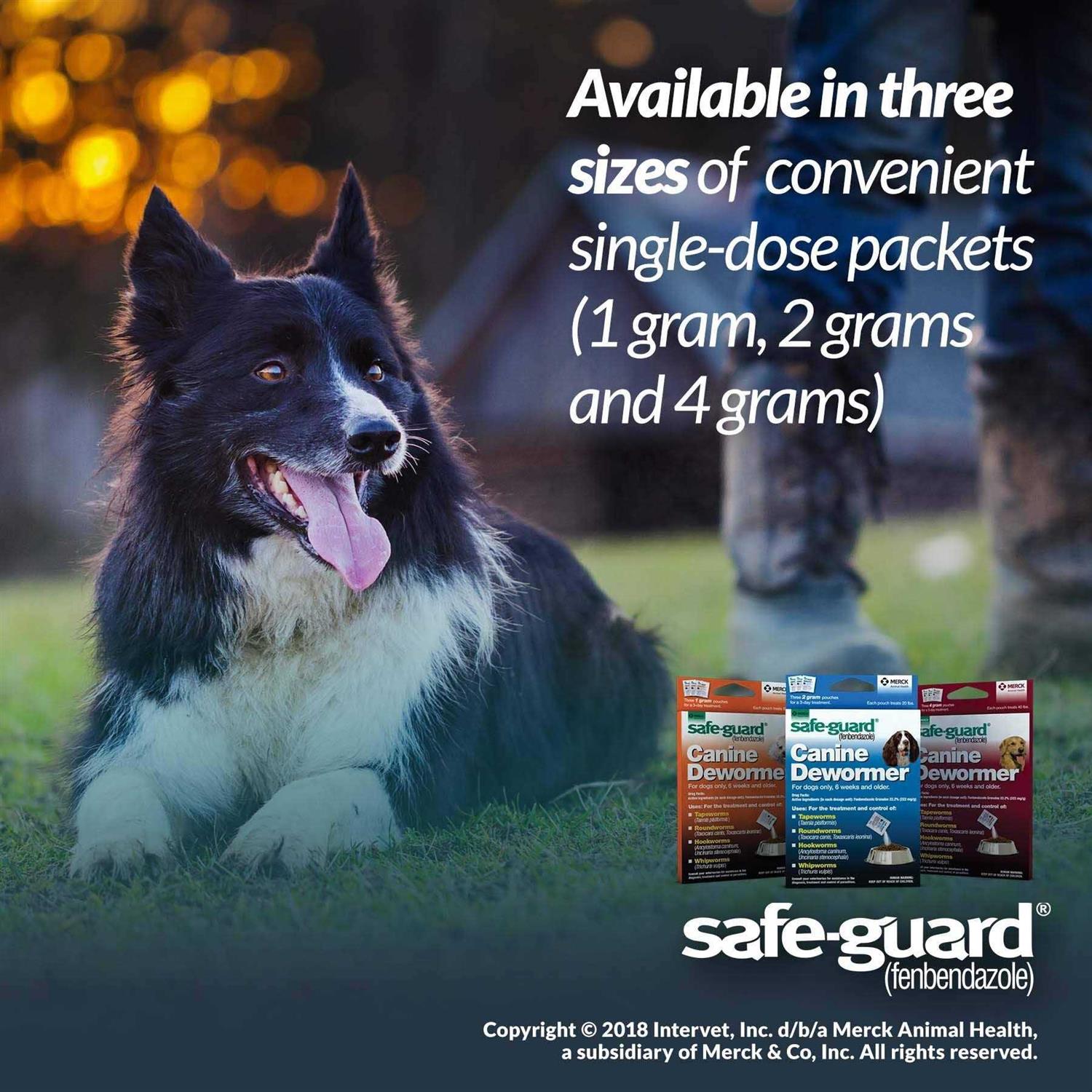 Canine Dewormer for Dogs W76336