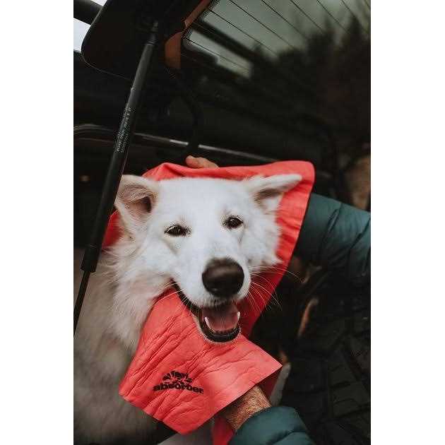 Dog Lover's Towel Y8671