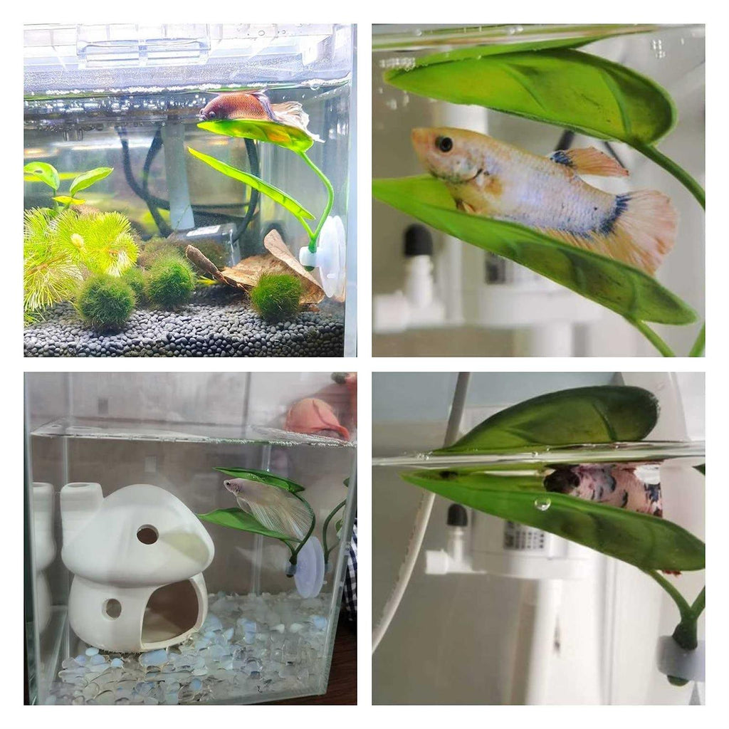 Betta Fish Leaf Pad with Suction Cup for Resting and Breeding O404