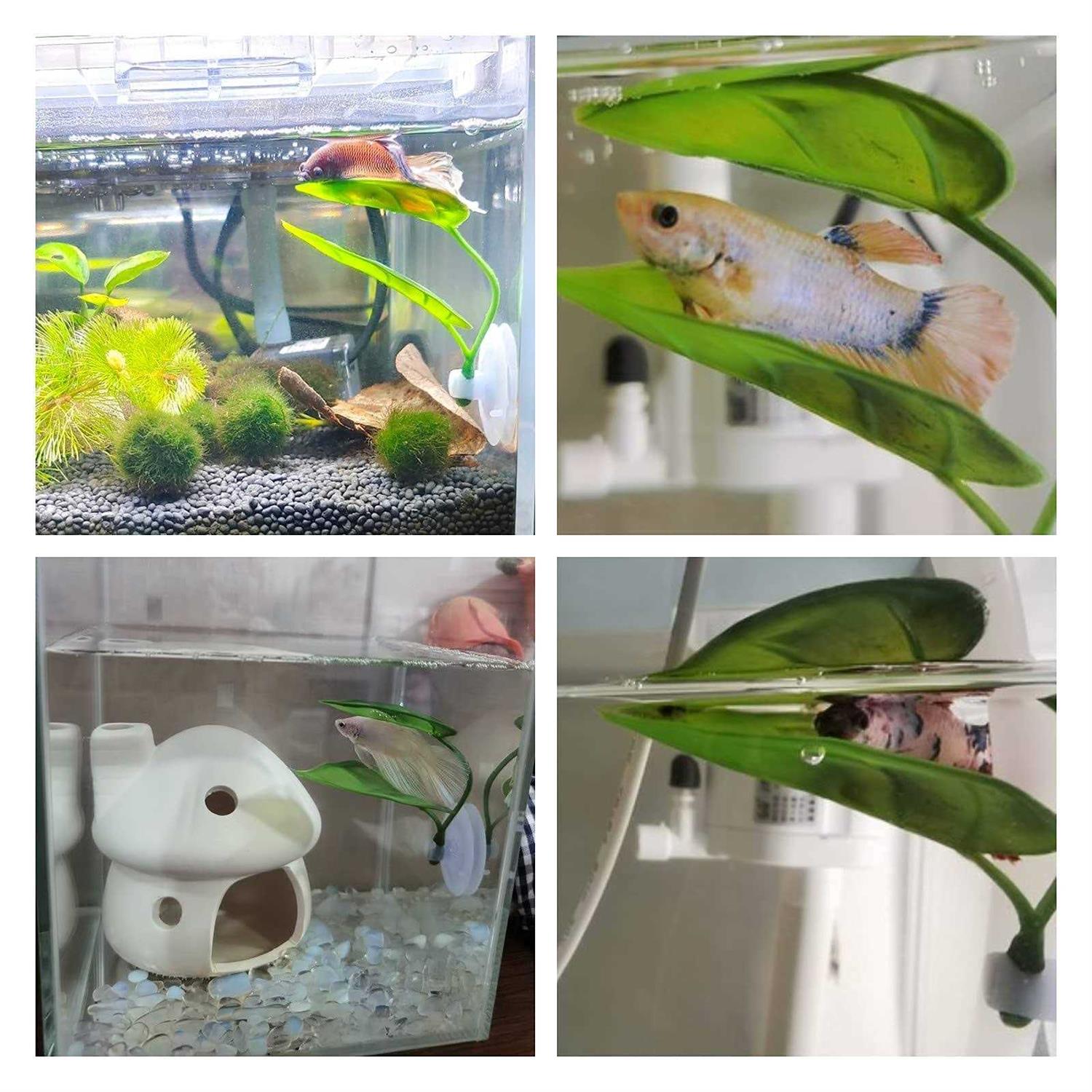 Betta Fish Leaf Pad with Suction Cup for Resting and Breeding O404