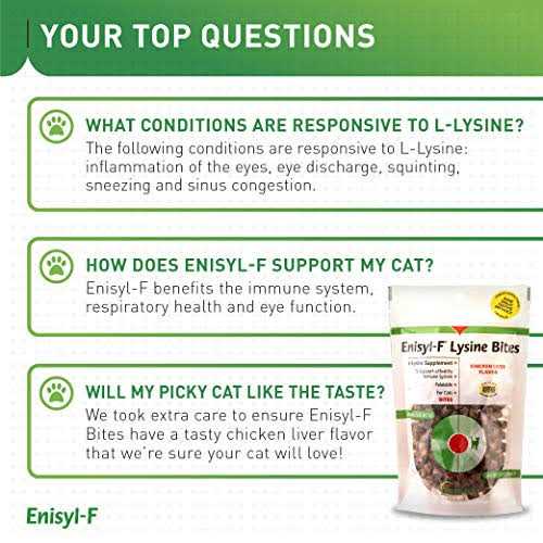 Lysine Bites for Cats & Kittens Q290232