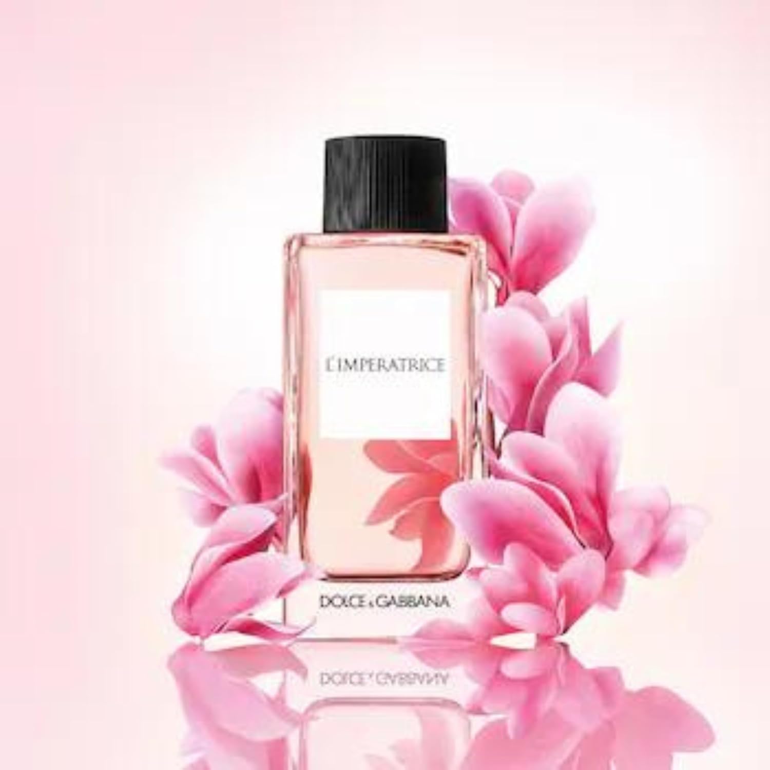 Women's Eau de Toilette 3.3 oz Q6213