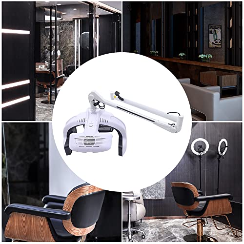 Wall Mounted Hair Dryer with Timer for Salon Use P554