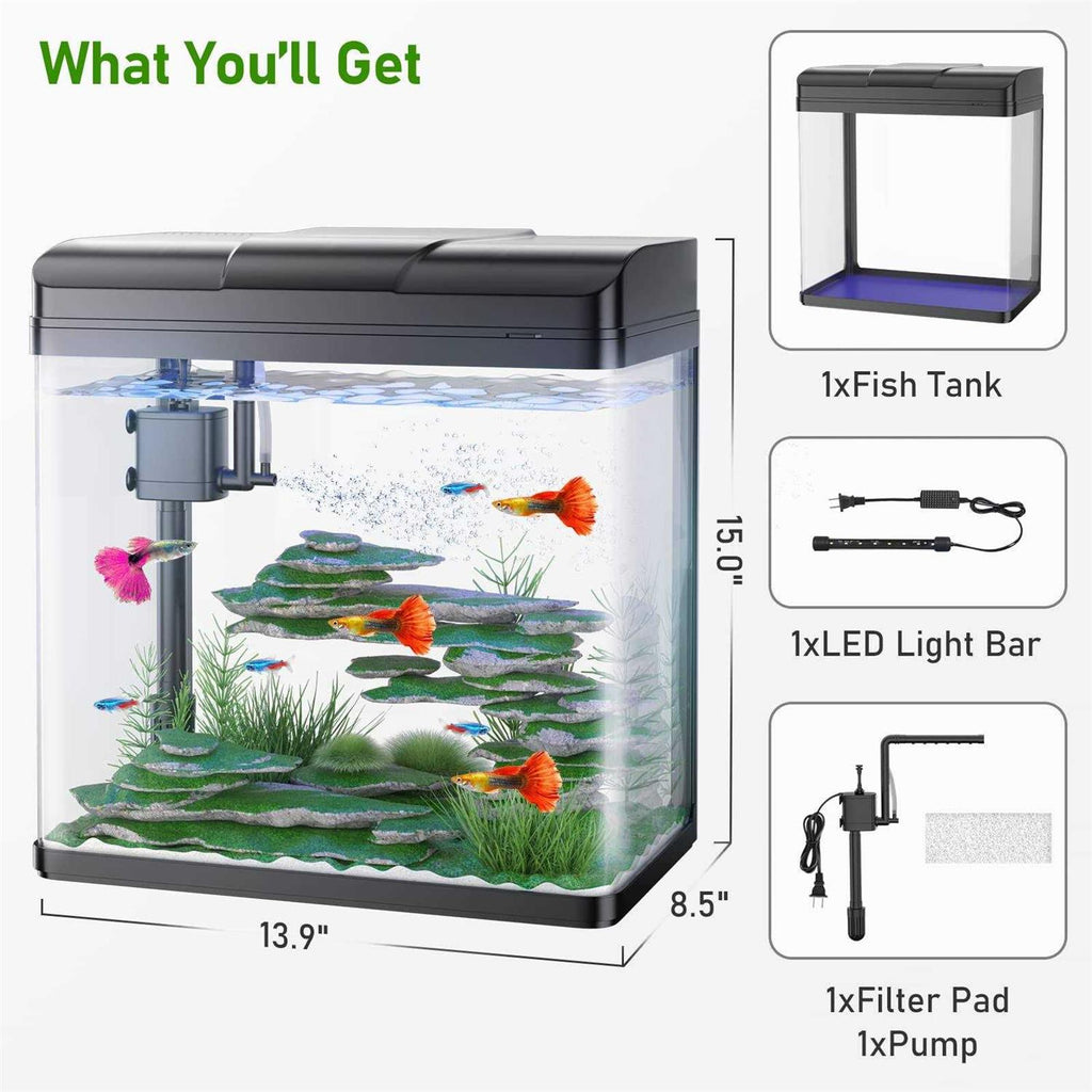 5 Gallon Glass Aquarium with LED Light and Filter N255043