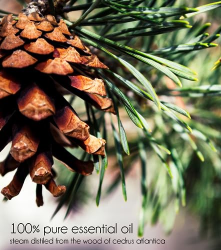 Peppermint Essential Oil, 4 fl oz, 100% Pure W202222